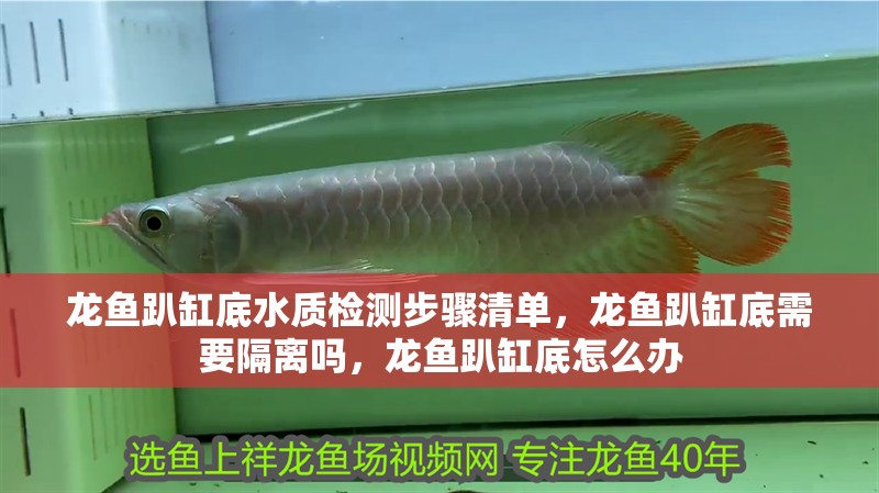 龍魚(yú)趴缸底水質(zhì)檢測(cè)步驟清單，龍魚(yú)趴缸底需要隔離嗎，龍魚(yú)趴缸底怎么辦