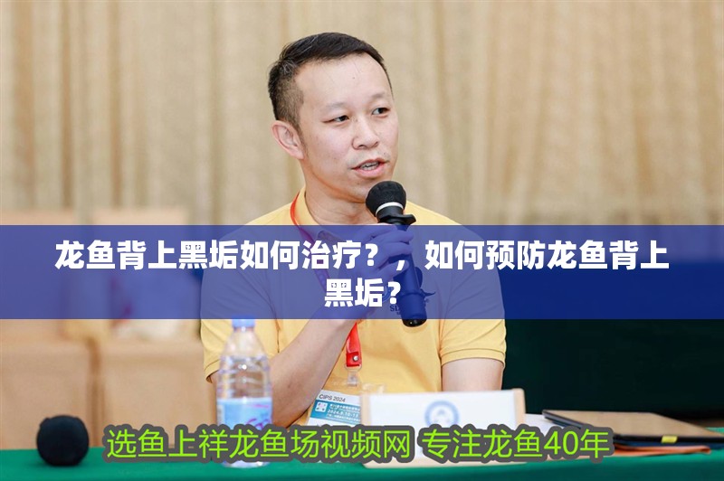 龍魚背上黑垢如何治療？，如何預防龍魚背上黑垢？