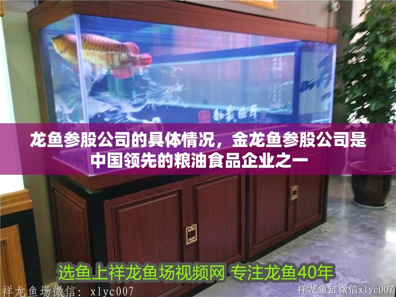 龍魚參股公司的具體情況，金龍魚參股公司是中國領先的糧油食品企業之一