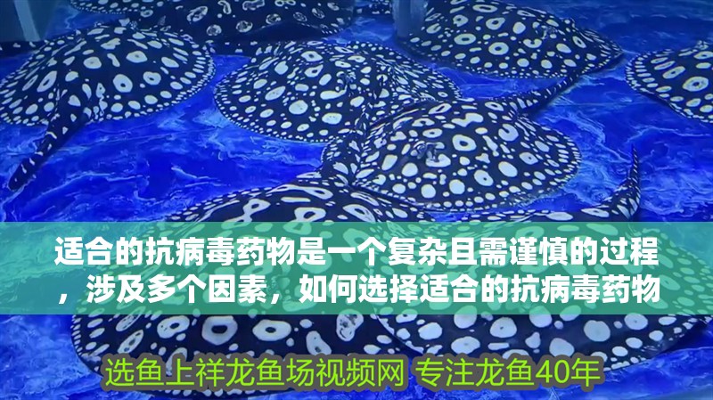 適合的抗病毒藥物是一個(gè)復(fù)雜且需謹(jǐn)慎的過(guò)程，涉及多個(gè)因素，如何選擇適合的抗病毒藥物