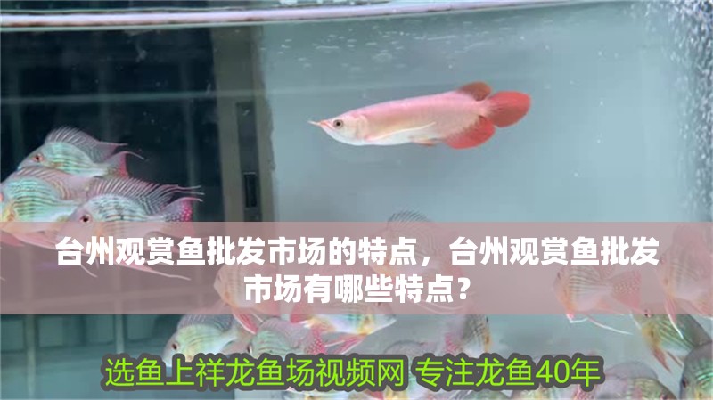 臺州觀賞魚批發市場的特點，臺州觀賞魚批發市場有哪些特點？