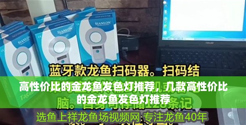 高性價比的金龍魚發色燈推薦，幾款高性價比的金龍魚發色燈推薦