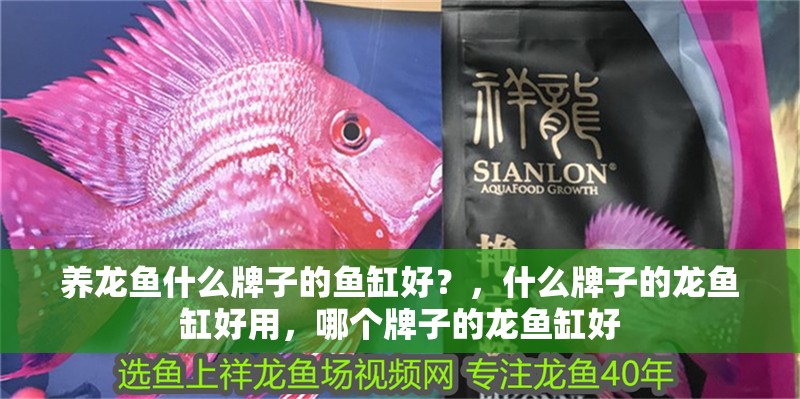 養龍魚什么牌子的魚缸好？，什么牌子的龍魚缸好用，哪個牌子的龍魚缸好