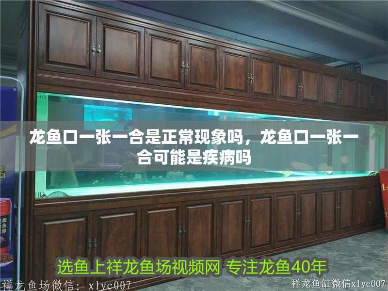 龍魚口一張一合是正常現象嗎，龍魚口一張一合可能是疾病嗎