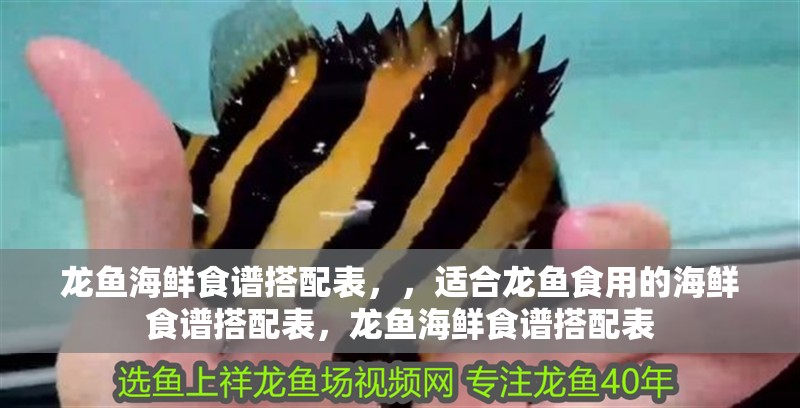 龍魚海鮮食譜搭配表，，適合龍魚食用的海鮮食譜搭配表，龍魚海鮮食譜搭配表