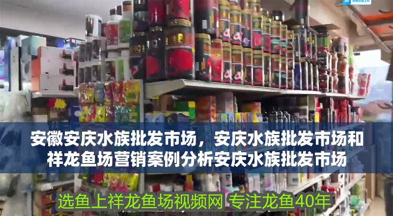 安徽安慶水族批發市場，安慶水族批發市場和祥龍魚場營銷案例分析安慶水族批發市場