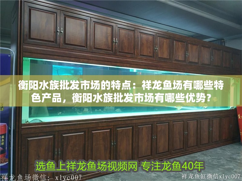 衡陽水族批發(fā)市場的特點(diǎn)：祥龍魚場有哪些特色產(chǎn)品，衡陽水族批發(fā)市場有哪些優(yōu)勢？