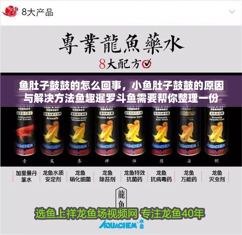 魚肚子鼓鼓的怎么回事，小魚肚子鼓鼓的原因與解決方法魚趣暹羅斗魚需要幫你整理一份