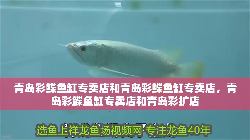 青島彩鰈魚缸專賣店和青島彩鰈魚缸專賣店，青島彩鰈魚缸專賣店和青島彩擴店