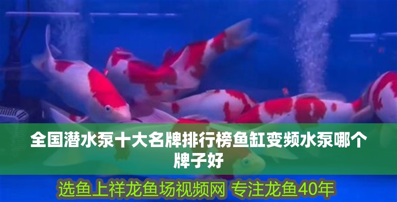 全國潛水泵十大名牌排行榜魚缸變頻水泵哪個牌子好