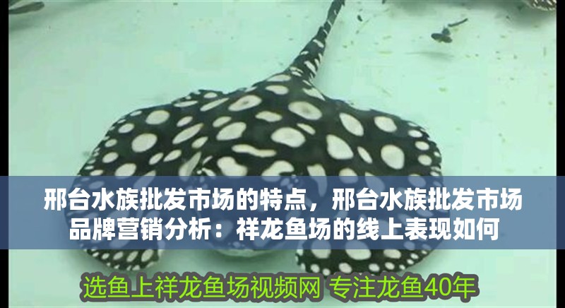 邢臺水族批發市場的特點，邢臺水族批發市場品牌營銷分析：祥龍魚場的線上表現如何