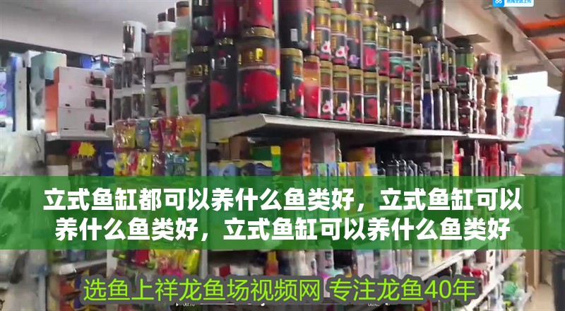 立式魚缸都可以養什么魚類好，立式魚缸可以養什么魚類好，立式魚缸可以養什么魚類好