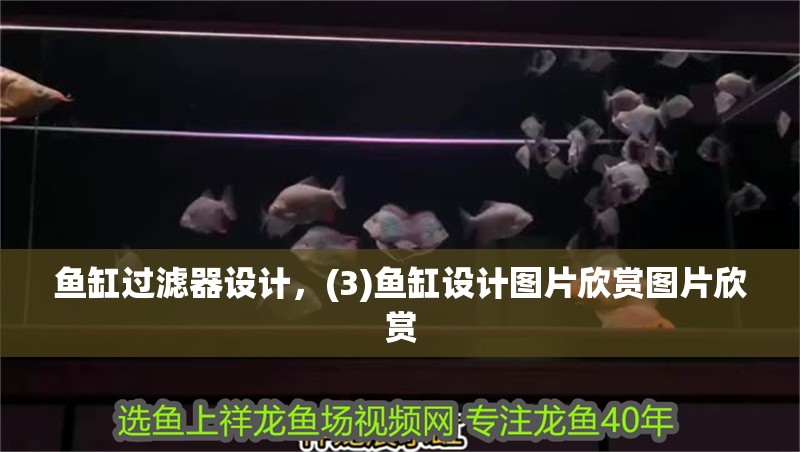 魚缸過濾器設計，(3)魚缸設計圖片欣賞圖片欣賞
