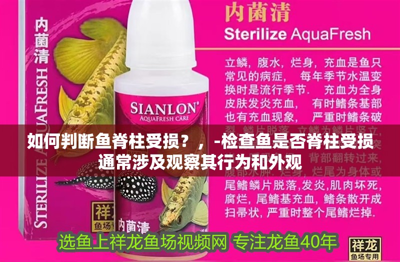如何判斷魚脊柱受損？，-檢查魚是否脊柱受損通常涉及觀察其行為和外觀