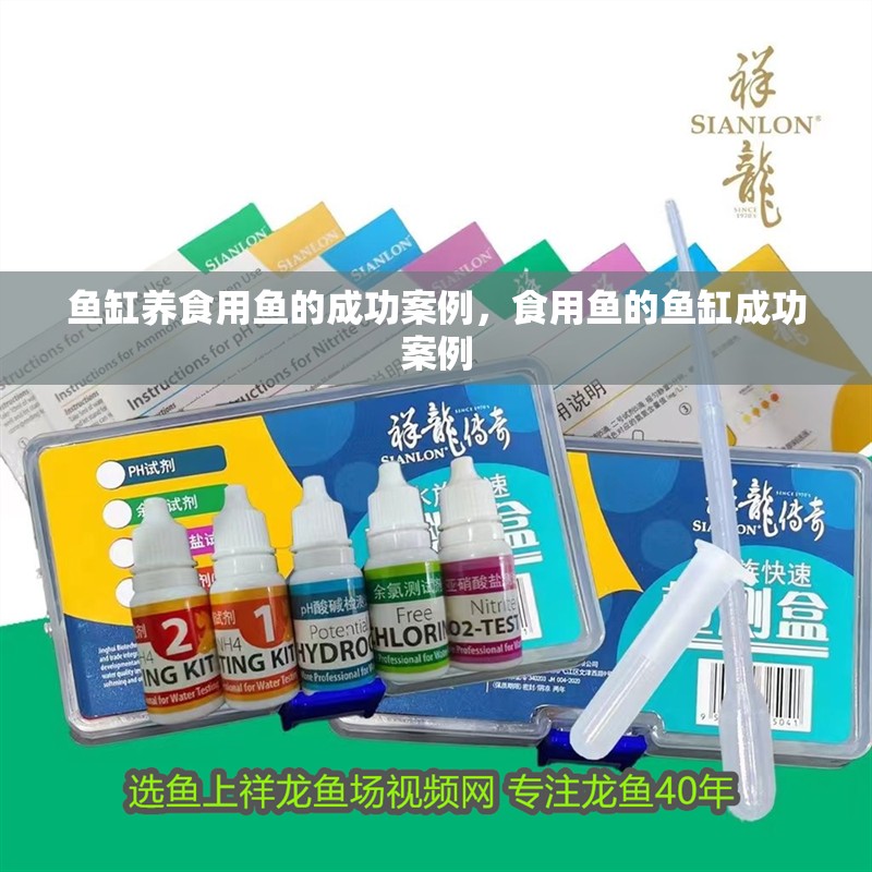 魚缸養食用魚的成功案例，食用魚的魚缸成功案例