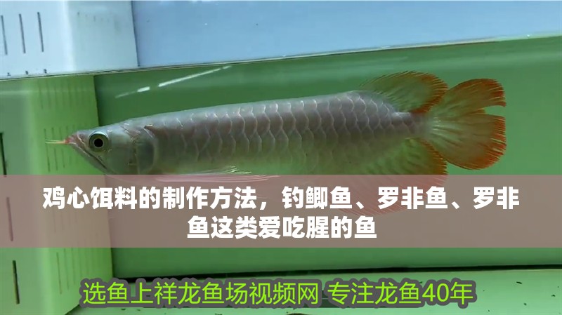 雞心餌料的制作方法，釣鯽魚、羅非魚、羅非魚這類愛吃腥的魚