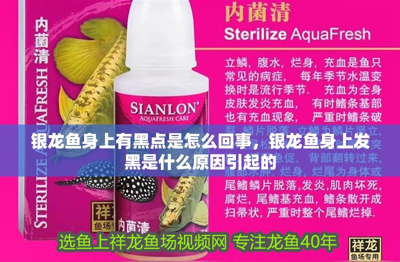 銀龍魚身上有黑點是怎么回事，銀龍魚身上發黑是什么原因引起的