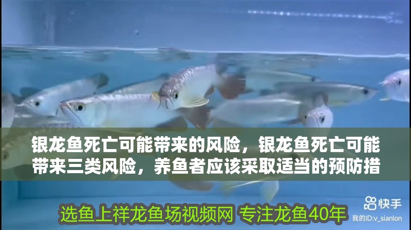 銀龍魚死亡可能帶來的風險，銀龍魚死亡可能帶來三類風險，養(yǎng)魚者應該采取適當的預防措施