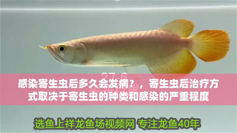 感染寄生蟲后多久會發(fā)病？，寄生蟲后治療方式取決于寄生蟲的種類和感染的嚴(yán)重程度