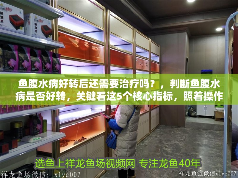 魚腹水病好轉后還需要治療嗎？，判斷魚腹水病是否好轉，關鍵看這5個核心指標，照著操作更省心