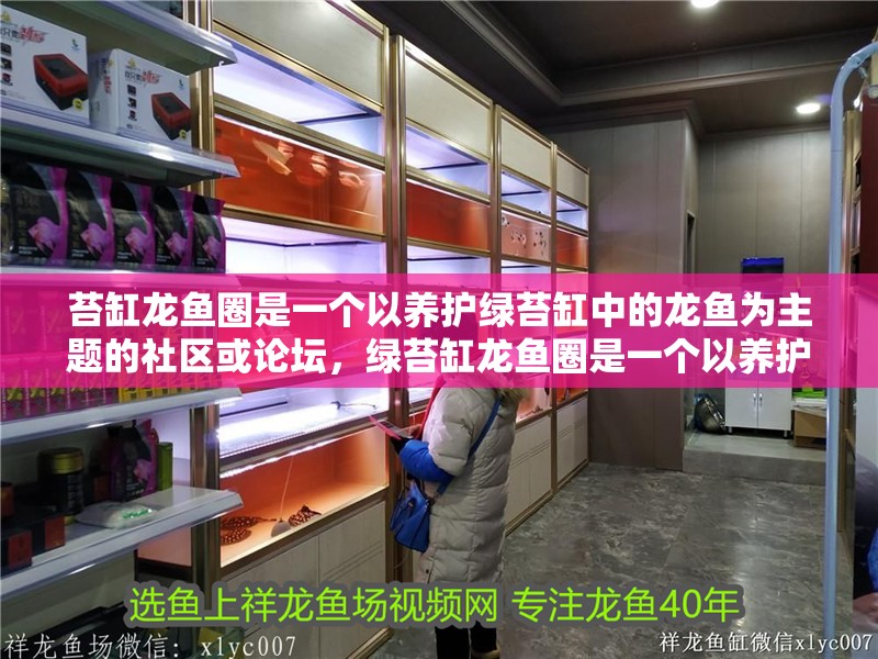 苔缸龍魚圈是一個以養護綠苔缸中的龍魚為主題的社區或論壇，綠苔缸龍魚圈是一個以養護綠苔缸中的龍魚為主題的社區或論壇
