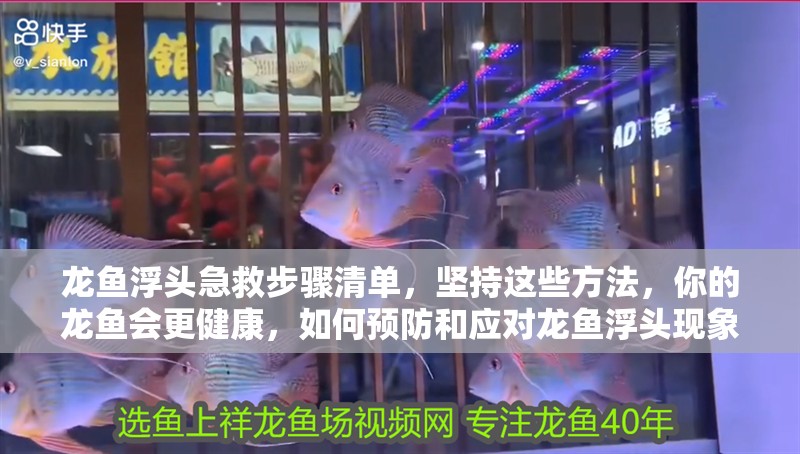 龍魚浮頭急救步驟清單，堅持這些方法，你的龍魚會更健康，如何預防和應對龍魚浮頭現象