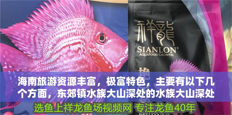 海南旅游資源豐富，極富特色，主要有以下幾個(gè)方面，東郊鎮(zhèn)水族大山深處的水族大山深處舉辦主題活動(dòng)