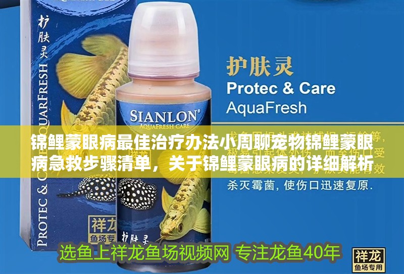 錦鯉蒙眼病最佳治療辦法小周聊寵物錦鯉蒙眼病急救步驟清單，關于錦鯉蒙眼病的詳細解析