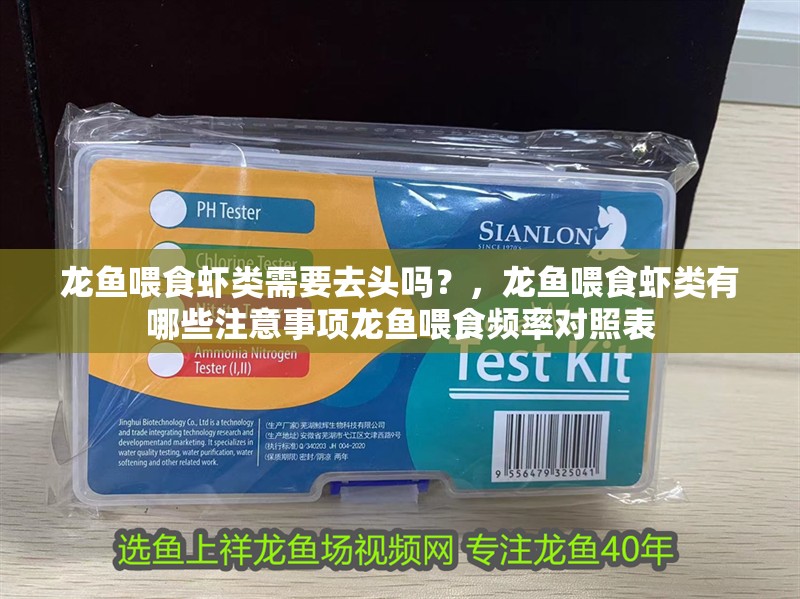 龍魚喂食蝦類需要去頭嗎？，龍魚喂食蝦類有哪些注意事項龍魚喂食頻率對照表