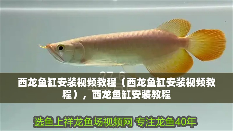 西龍魚缸安裝視頻教程（西龍魚缸安裝視頻教程），西龍魚缸安裝教程
