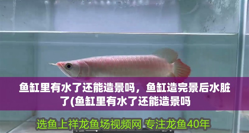 魚缸里有水了還能造景嗎，魚缸造完景后水臟了(魚缸里有水了還能造景嗎