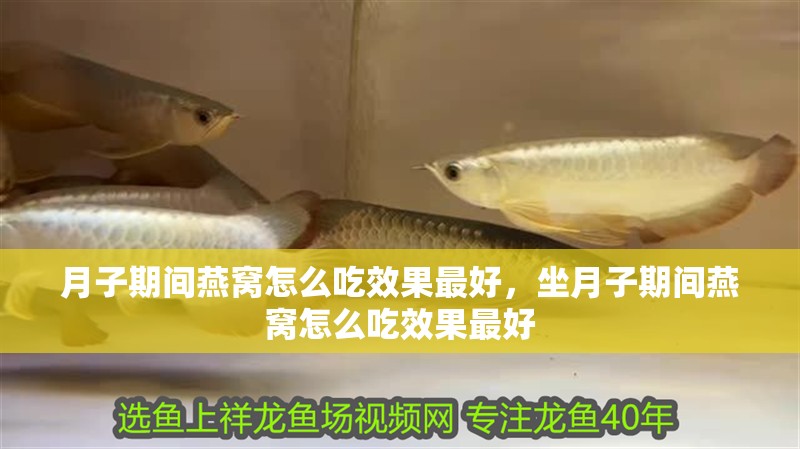 月子期間燕窩怎么吃效果最好，坐月子期間燕窩怎么吃效果最好