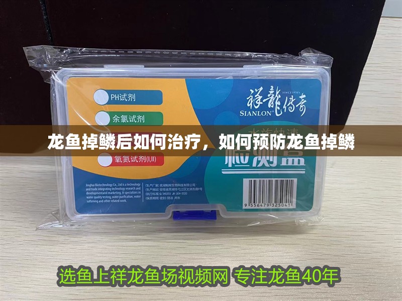 龍魚掉鱗后如何治療，如何預防龍魚掉鱗