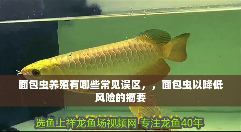 面包蟲養殖有哪些常見誤區，，面包蟲以降低風險的摘要