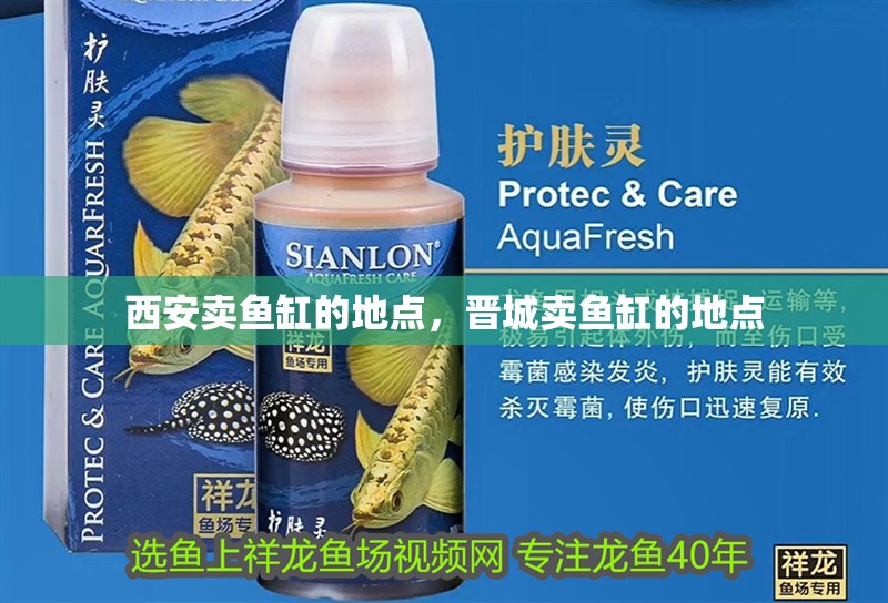 西安賣魚缸的地點，晉城賣魚缸的地點