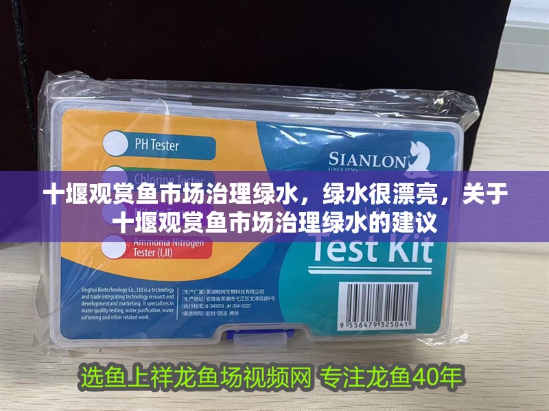 十堰觀賞魚市場治理綠水，綠水很漂亮，關于十堰觀賞魚市場治理綠水的建議