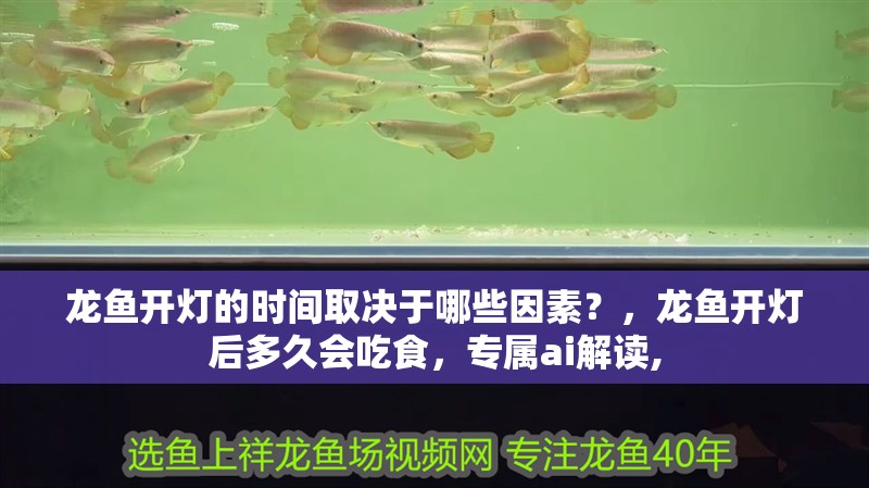 龍魚開燈的時間取決于哪些因素？，龍魚開燈后多久會吃食，專屬ai解讀,