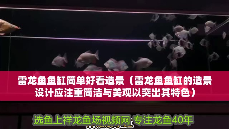雷龍魚魚缸簡(jiǎn)單好看造景（雷龍魚魚缸的造景設(shè)計(jì)應(yīng)注重簡(jiǎn)潔與美觀以突出其特色）