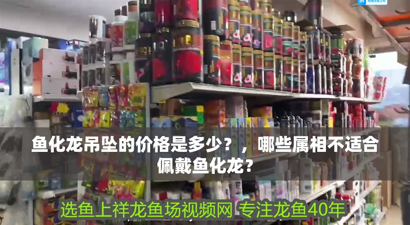 魚化龍吊墜的價(jià)格是多少？，哪些屬相不適合佩戴魚化龍？