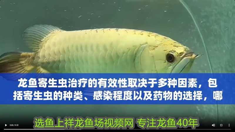龍魚(yú)寄生蟲(chóng)治療的有效性取決于多種因素，包括寄生蟲(chóng)的種類、感染程度以及藥物的選擇，哪種藥物對(duì)龍魚(yú)寄生蟲(chóng)最安全？