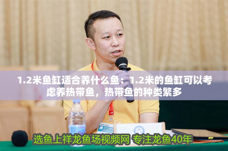 龍魚干蝦有營養(yǎng)嗎 1.2米魚缸適合養(yǎng)什么魚:1.2米的魚缸可以考慮養(yǎng)熱帶魚,熱帶魚的種類繁多 觀賞魚百科 1.2米魚缸適合養(yǎng)什么魚:1.2米的魚缸可以考慮養(yǎng)熱帶魚,熱帶魚的種類繁多 1.2米魚缸適合養(yǎng)什么魚:1.2米的魚缸可以考慮養(yǎng)熱帶魚,熱帶魚的種類繁多 觀賞魚百科