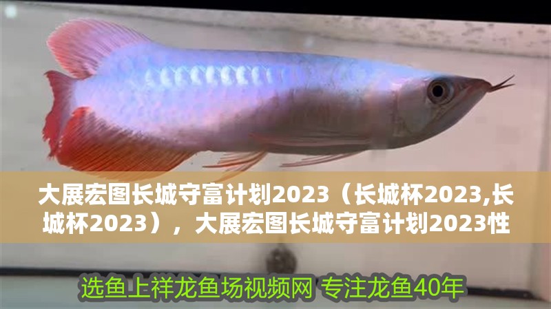 大展宏圖長(zhǎng)城守富計(jì)劃2023（長(zhǎng)城杯2023,長(zhǎng)城杯2023），大展宏圖長(zhǎng)城守富計(jì)劃2023性?xún)r(jià)比真的那么高嗎