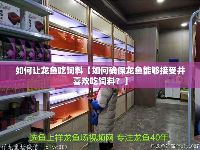 如何讓龍魚吃飼料【如何確保龍魚能夠接受并喜歡吃飼料？】