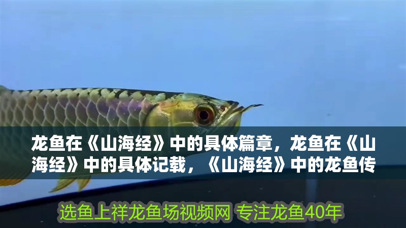 龍魚在《山海經》中的具體篇章，龍魚在《山海經》中的具體記載，《山海經》中的龍魚傳說