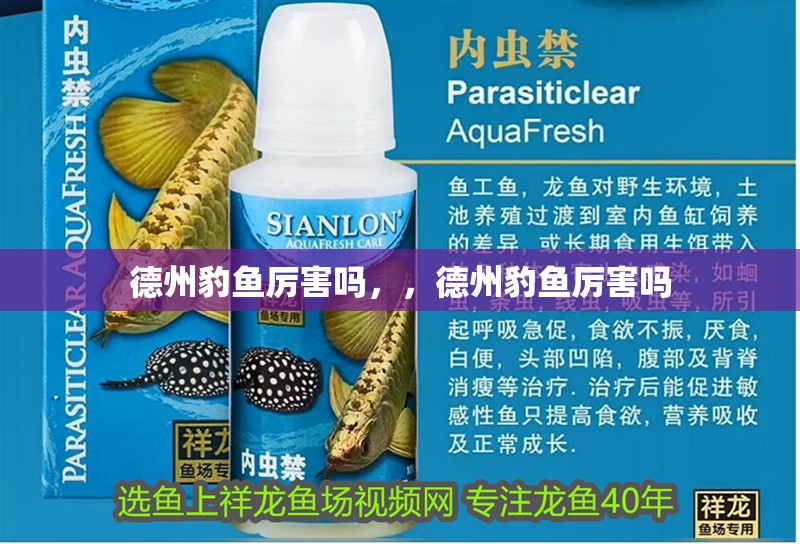 詳細(xì)閱讀:<strong><mark>德州</mark></strong>豹魚(yú)厲害嗎,,<strong><mark>德州</mark></strong>豹魚(yú)厲害嗎 <strong><mark>德州</mark></strong>豹魚(yú)厲害嗎,,<strong><mark>德州</mark></strong>豹魚(yú)厲害嗎