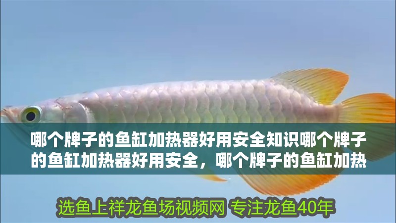 哪個牌子的魚缸加熱器好用安全知識哪個牌子的魚缸加熱器好用安全，哪個牌子的魚缸加熱器好用