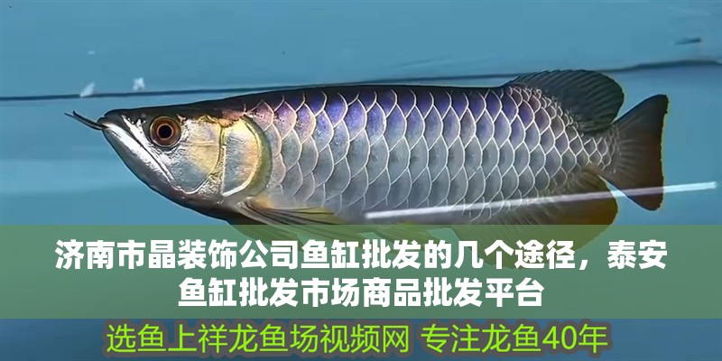 濟(jì)南市晶裝飾公司魚缸批發(fā)的幾個(gè)途徑，泰安魚缸批發(fā)市場(chǎng)商品批發(fā)平臺(tái)