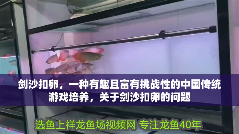 劍沙扣卵，一種有趣且富有挑戰性的中國傳統游戲培養，關于劍沙扣卵的問題
