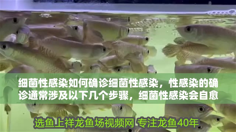 細菌性感染如何確診細菌性感染，性感染的確診通常涉及以下幾個步驟，細菌性感染會自愈嗎