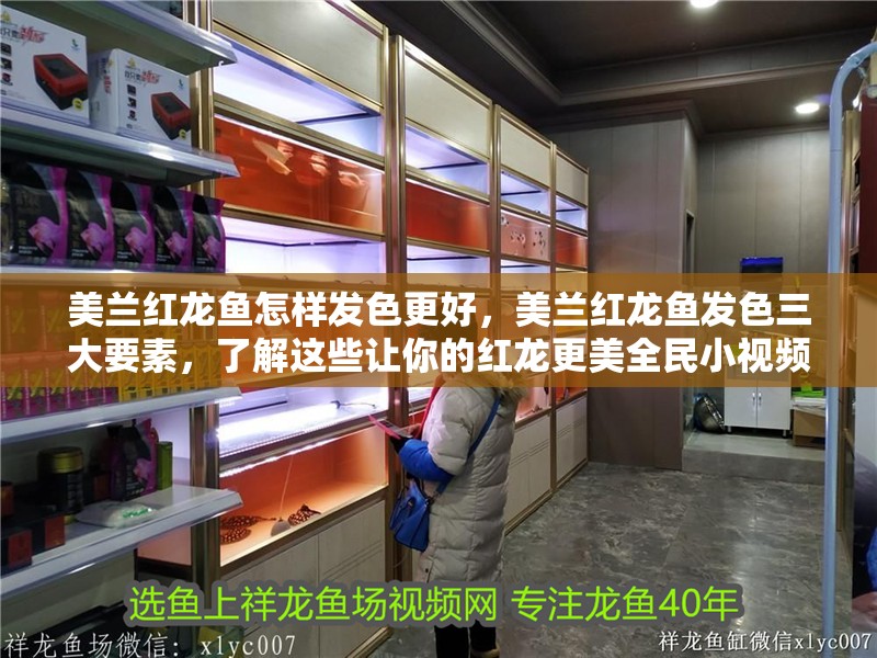 美蘭紅龍魚怎樣發色更好，美蘭紅龍魚發色三大要素，了解這些讓你的紅龍更美全民小視頻